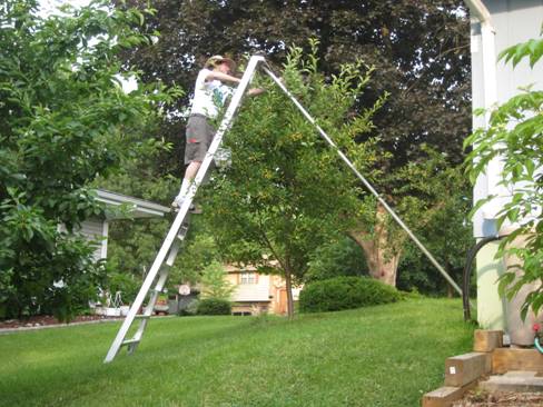 Sử dụng thang nhôm để chăm sóc vườn cây